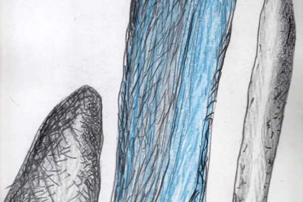 roberto rustichelli. untitled 2001 colored pencils and pencil on paper cm 21.5 x 28 roberto rustichelli. untitled 2001 colored pencils and pencil on paper cm 21.5 x 28