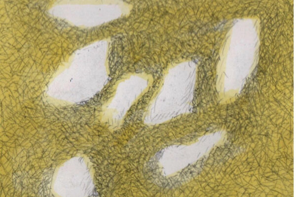 roberto rustichelli. untitled 2008 pencil and watercolor on paper cm 10 x 11 roberto rustichelli. untitled 2008 pencil and watercolor on paper cm 10 x 11